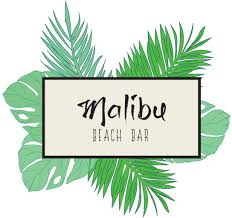 Freiann_Malibu_logo